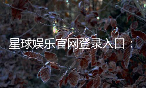 星球娱乐官网登录入口:轻松畅玩棋牌电游的官方通道