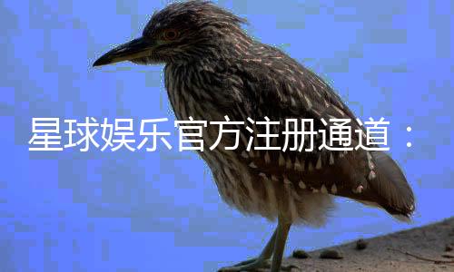 星球娱乐官方注册通道:轻松开启您的豪华游戏之旅