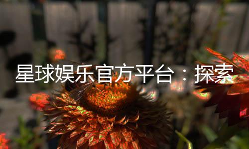 星球娱乐官方平台:探索星级游戏体验与独家优惠活动