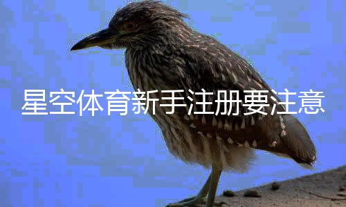 星空体育新手注册要注意什么?注册流程、实名认证与安全防护全解析