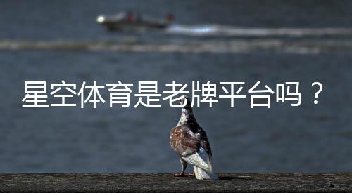 星空体育是老牌平台吗?平台资质、历史与用户口碑全面解析