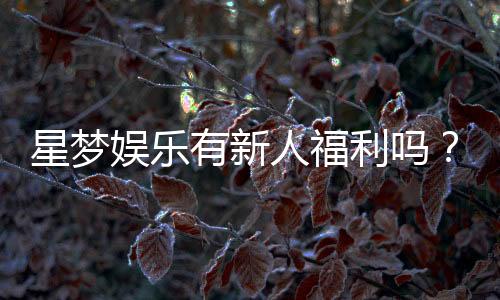 星梦娱乐有新人福利吗?独家揭秘首存优惠与新手礼包
