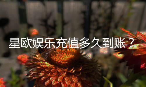 星欧娱乐充值多久到账？快速到账技巧与常见问题解析