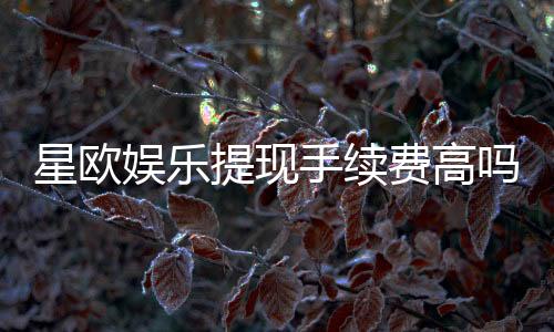 星欧娱乐提现手续费高吗?资深玩家解析费用详情与优化策略