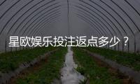 星欧娱乐投注返点多少？揭秘高返水福利与实战技巧