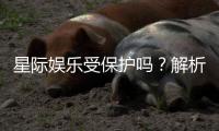 星际娱乐受保护吗？解析其安全性与玩家权益保障