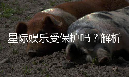 星际娱乐受保护吗?解析其安全性与玩家权益保障