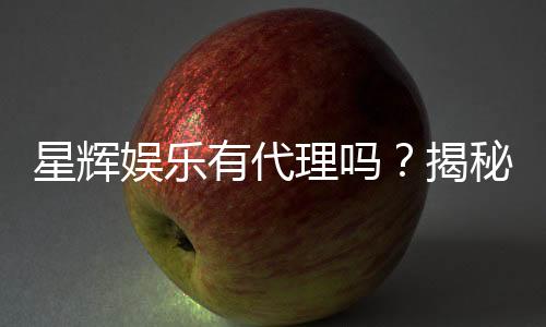 星辉娱乐有代理吗？揭秘代理加盟条件与流程