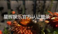 星辉娱乐官方认证登录：安全便捷的一站式游戏入口
