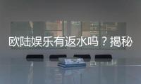 欧陆娱乐有返水吗？揭秘返水政策与玩家福利