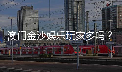 澳门金沙娱乐玩家多吗?揭秘人气爆棚的真实原因