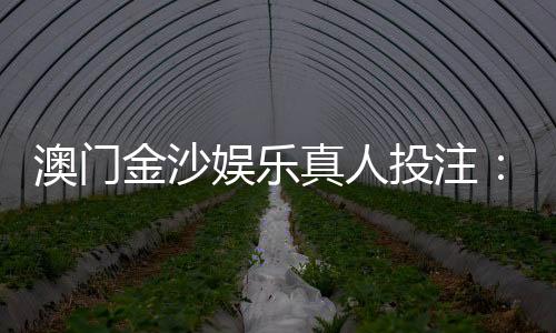 澳门金沙娱乐真人投注:揭秘高胜率玩家的实战技巧与心得