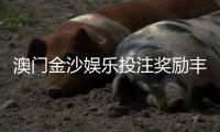 澳门金沙娱乐投注奖励丰厚吗？揭秘高额返水与独家彩金福利