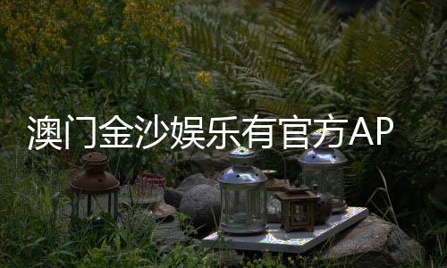 澳门金沙娱乐有官方APP吗?下载安装与使用全攻略