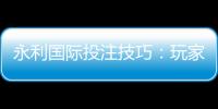 永利国际投注技巧：玩家必知的小窍门