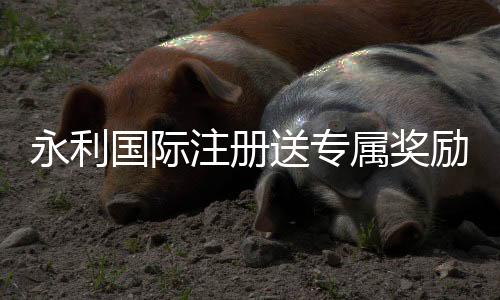 永利国际注册送专属奖励:精彩棋牌娱乐体验