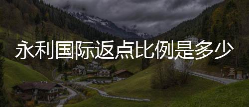 永利国际返点比例是多少?找准最佳投注策略