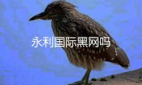 永利国际黑网吗