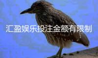 汇盈娱乐投注金额有限制吗？平台限额规则详解