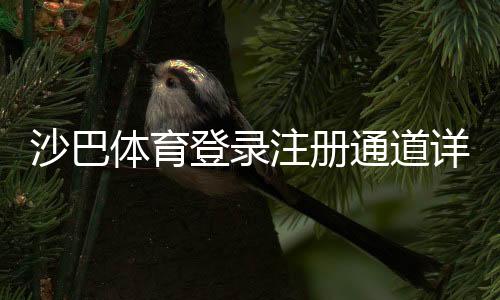 沙巴体育登录注册通道详解:新手快速完成注册与登录全流程教程