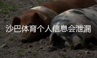 沙巴体育个人信息会泄漏吗？安全风险评估、真实案例与防护全攻略