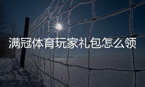 满冠体育玩家礼包怎么领取？新手领取教程、礼包内容与实用攻略
