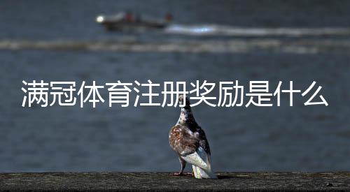满冠体育注册奖励是什么？新用户领取流程、额度规则与注意事项解析