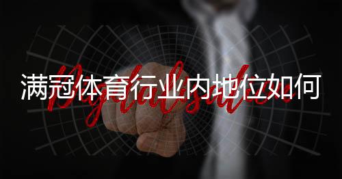 满冠体育行业内地位如何？市场份额、竞争优势与未来发展全面解析