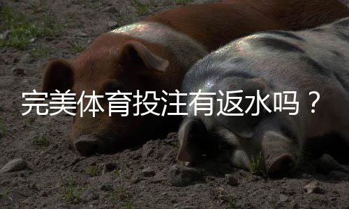 完美体育投注有返水吗?2026最新返水政策、计算方式与领取攻略