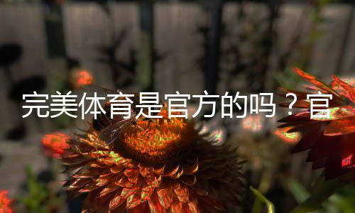 完美体育是官方的吗？官方认证真假与安全性全面解析