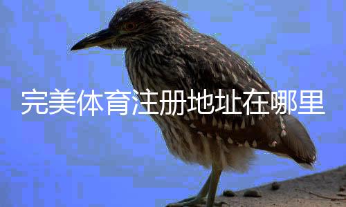 完美体育注册地址在哪里?2026最新注册链接与新手注册流程详解