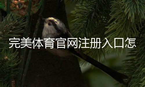完美体育官网注册入口怎么进入？新手注册步骤、实名认证与常见问题详解