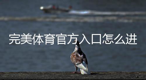 完美体育官方入口怎么进?官方登录地址、验证方法与常见问题解答