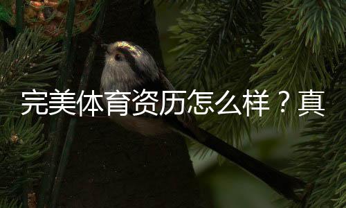 完美体育资历怎么样?真实资质认证、运营背景与用户口碑全面评测