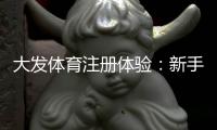 大发体育注册体验：新手注册流程、优惠福利与账号安全全解析