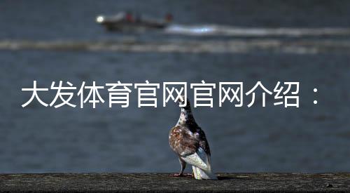 大发体育官网官网介绍：注册登录、充值提现与安全使用新手全攻略
