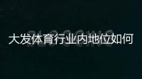 大发体育行业内地位如何？深度解析市场竞争力与发展前景