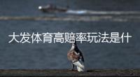 大发体育高赔率玩法是什么意思？新手投注攻略、提效技巧与风险控制详解