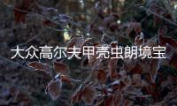 大众高尔夫甲壳虫朗境宝来途安尚酷原装电瓶瓦尔塔60安汽车蓄电池