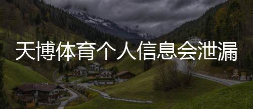 天博体育个人信息会泄漏吗?隐私风险评估与防护攻略