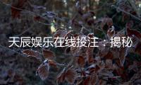 天辰娱乐在线投注：揭秘高胜率玩家的投注技巧与实战心得