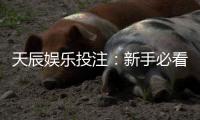 天辰娱乐投注：新手必看玩法技巧与盈利攻略