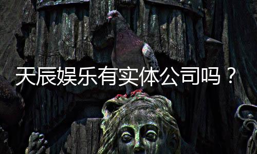 天辰娱乐有实体公司吗?实地探访其线下运营真相