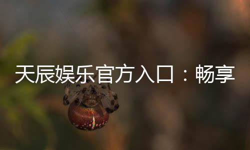 天辰娱乐官方入口：畅享顶级棋牌电游的尊贵体验