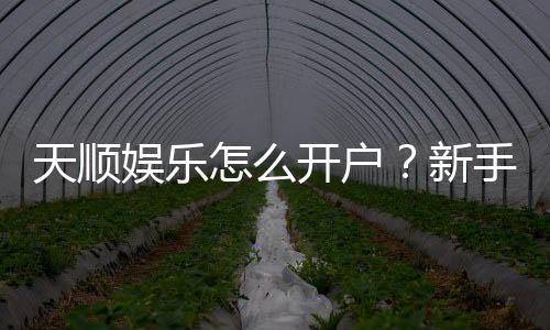 天顺娱乐怎么开户?新手快速注册指南