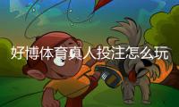 好博体育真人投注怎么玩？新手入门规则与实用投注技巧