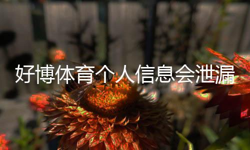好博体育个人信息会泄漏吗?隐私风险真相与防护全攻略