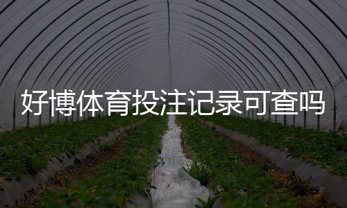 好博体育投注记录可查吗?官方查询、第三方取证与隐私注意事项