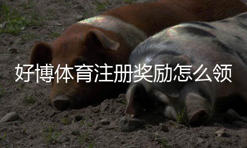 好博体育注册奖励怎么领取？最新活动规则、领取步骤与注意事项详解