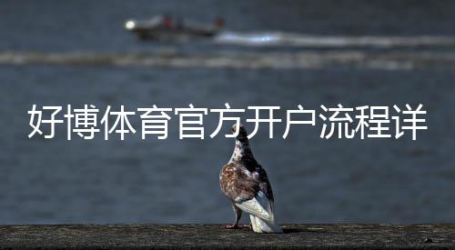 好博体育官方开户流程详解:新手注册、实名认证与首存完整步骤与注意事项